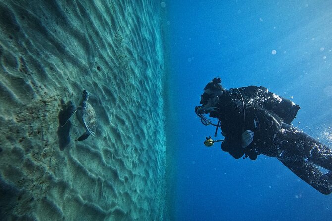 Private Scuba Diving in Tenerife – Certified Instructor & Photos - Entering the Atlantic from a pebbly beach