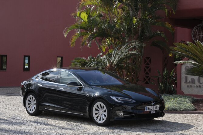 Private South Tenerife Airport Transfer to South Hotels - Key points to know before you book