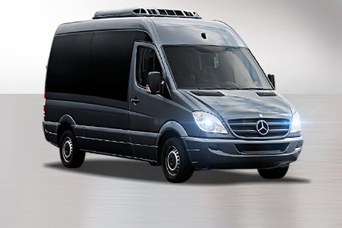 Private South Tenerife Airport Transfer to South Hotels - Who will get the most from this transfer
