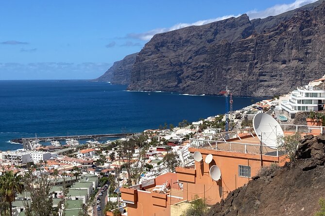 Private tour of the southwest and northwest of the island , minimun 3 person - Los Gigantes starts the day by the coast