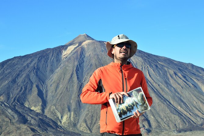 PRIVATE TOUR Teide National Park: Hiking and Stargazing - Pine forest roads and Tenerife’s changing scenery
