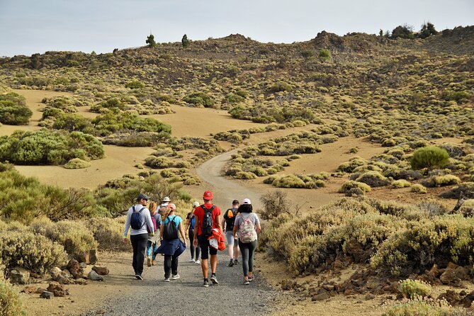 PRIVATE TOUR Teide National Park: Hiking and Stargazing - A sunset stop with Canarian wine