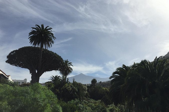 Private VIP Tour Tenerife Magic Circle - The Teide Observatory surroundings