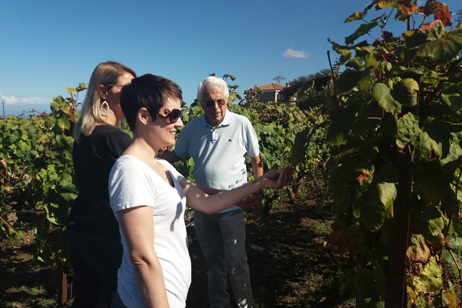 Private Wine Tasting Tour - Second winery: more wine, more local context