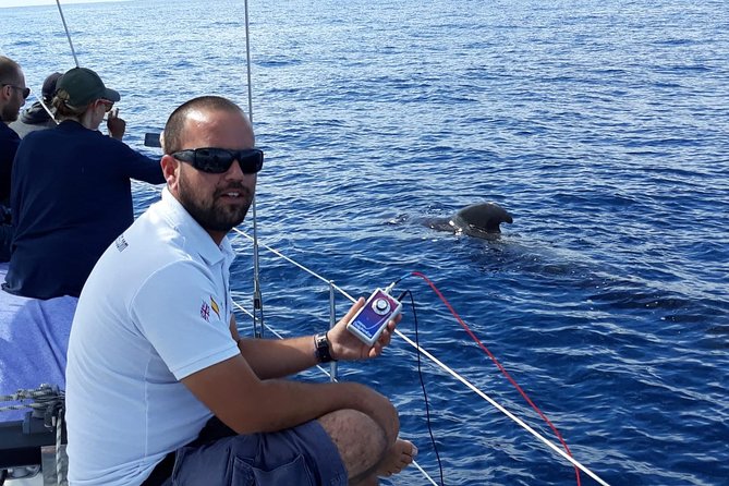 Private Yacht Tour With Whale and Dolphin Watching 42 Foot Boat - Dropping anchor for swimming and snorkeling