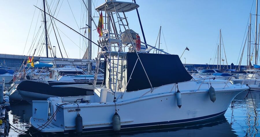 Puerto Colón: Coastal Boat Cruise with Swimming and Snacks - The final 20 minutes back along the coast