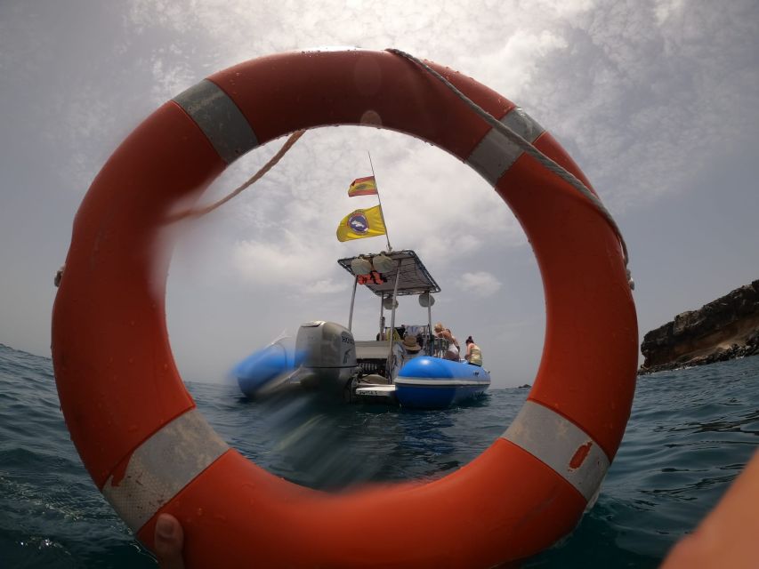 Puerto Colon: Dolphin and Whale Watching Speedboat Cruise - Should you book the Puerto Colon speedboat cruise?