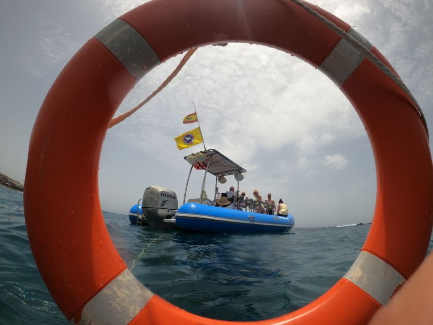 Puerto Colon: Dolphin and Whale Watching Speedboat Tour - Setting off from Puerto Colón in Costa Adeje