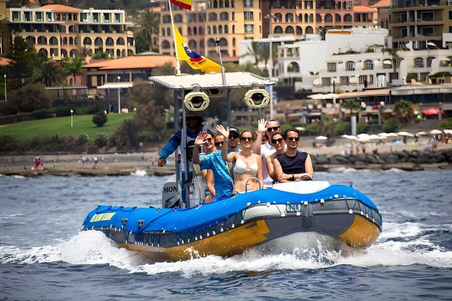 Puerto Colon: Dolphin and Whale Watching Speedboat Tour - What the small boat changes