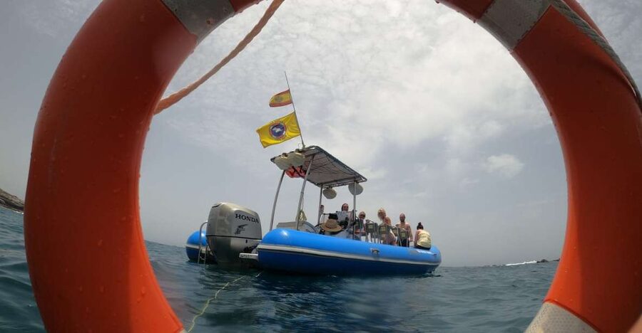 Puerto Colon: Dolphin and Whale Watching Speedboat Tour - Looking for pilot whales and dolphins