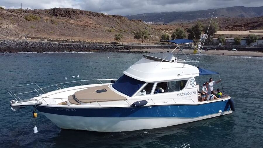 Puerto Colon : Shared/private boat trip with snack & Drinks - Watching for whales and dolphins