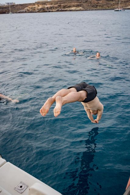 Puerto Colon: Whale and Dolphin Watching Yacht Trip - Who will enjoy this yacht trip most
