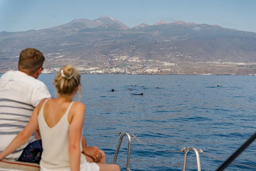 Puerto Colon: Whale and Dolphin Watching Yacht Trip - How the experience feels overall