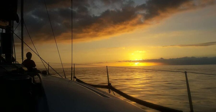 Puerto Colon: Whale-Watching Sailing Tour with Meal & a Swim - Searching the Atlantic for pilot whales