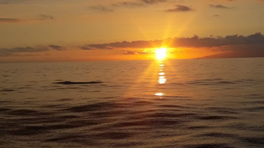 Puerto Colon: Whale-Watching Sailing Tour with Meal & a Swim - The swimming stop at a sandy beach