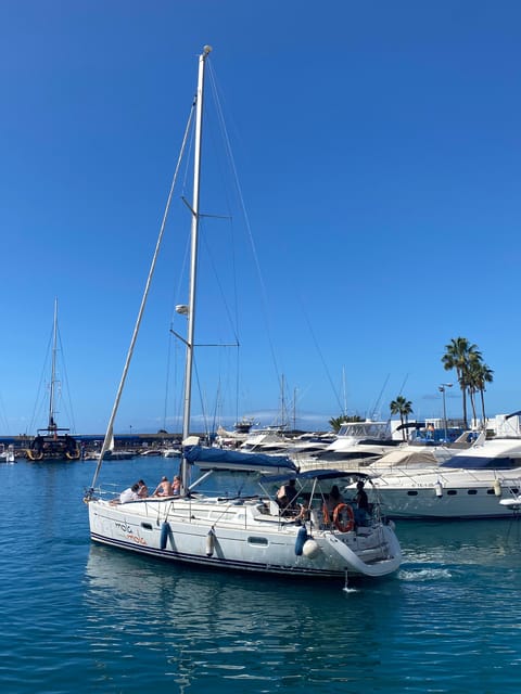 Puerto Colon: Whale-Watching Sailing Tour with Meal & a Swim - Who will enjoy this sailing trip most