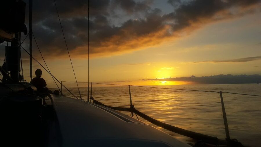 Puerto Colon: Whale-Watching Sailing Tour with Meal & a Swim - A small boat changes the feel of the trip
