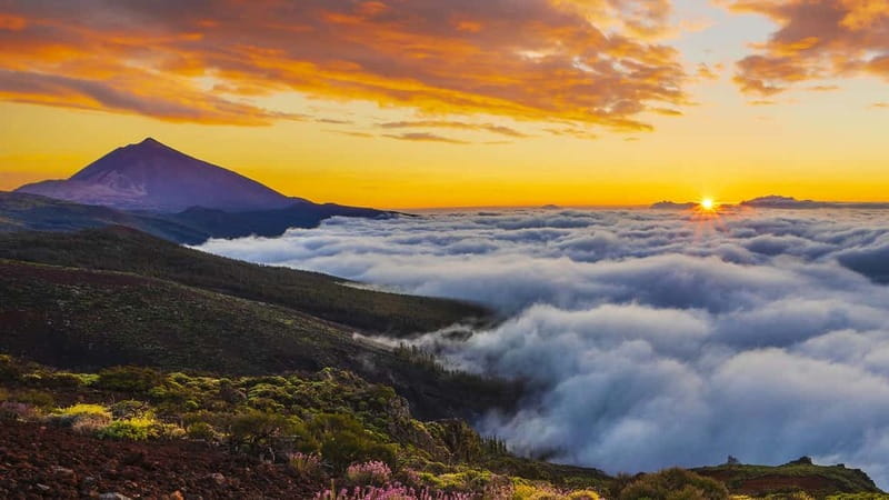 Puerto Cruz: VIP Teide Sunset & Stars, Guachiche Lunch+Cava - The van rides and the pace of the day
