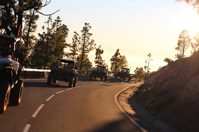 Puerto de la Cruz: Buggy Teide Day National Park - What this Puerto de la Cruz buggy tour actually gives you
