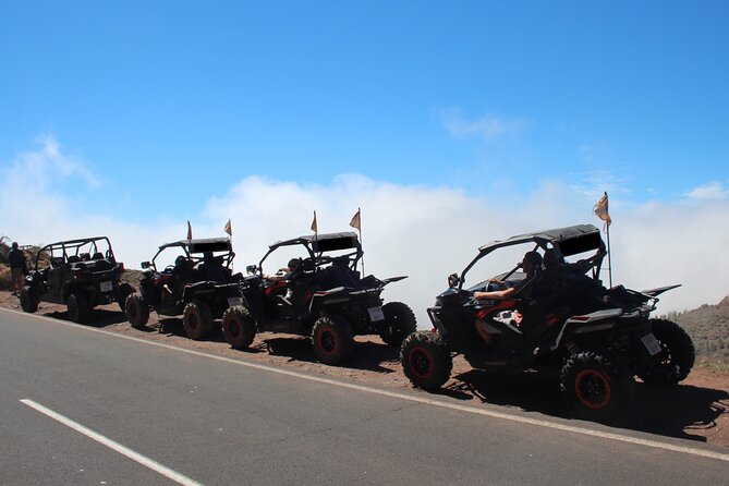 Puerto de la Cruz: Buggy Teide Day National Park - The buggy convoy and the feel of the ride