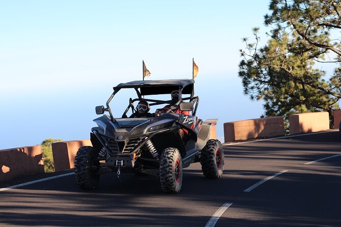 Puerto de la Cruz: Buggy Teide Day National Park - Pickup, timing, and weather