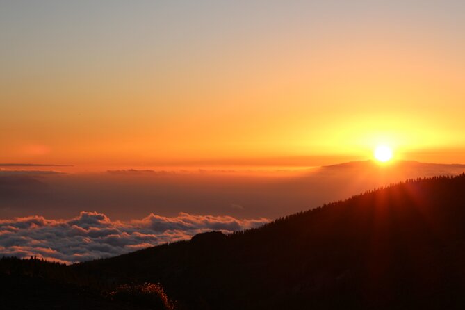 Puerto de la Cruz: Buggy Teide Sunset National Park - Guides, photos, and the human side