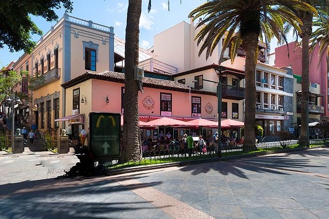 Puerto de la Cruz City Tour with Transfers - Is $28.59 good value?