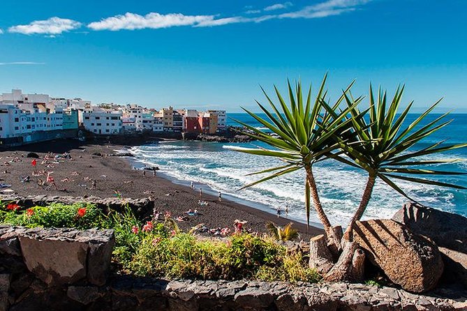 Puerto de la Cruz City Tour with Transfers - Plaza del Charco: start with the town center