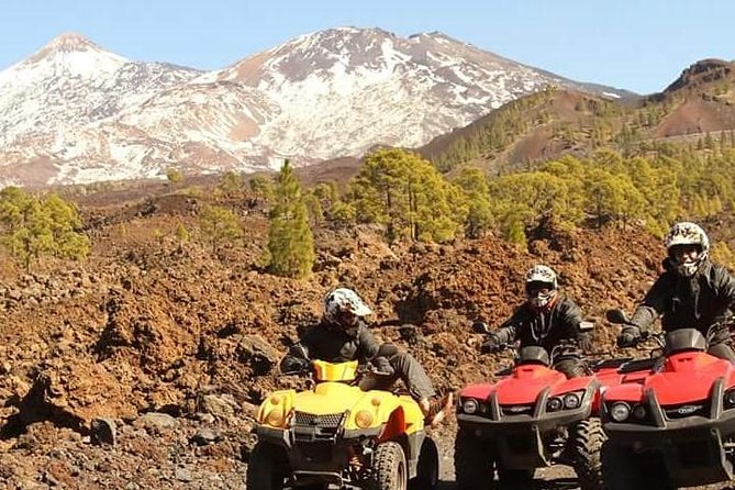 Quad adventure to Teide - Forest stops, lava views, and photo breaks