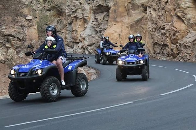 Quad safari Teide National Park - Teide National Park and the Main Viewpoint Stop