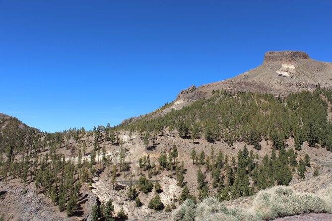 Quad Tour to the Teide National Park (3.5H) - What the paved roads add to the experience