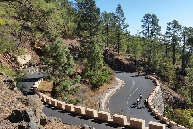 Road Cycling Tenerife - Teide Route - Who should book this ride