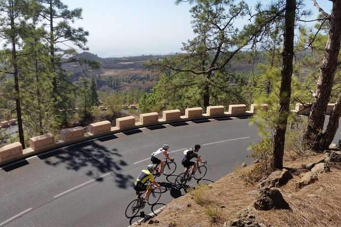Road Cycling Tenerife - Teide Route - Boca Tauce and the high Teide section