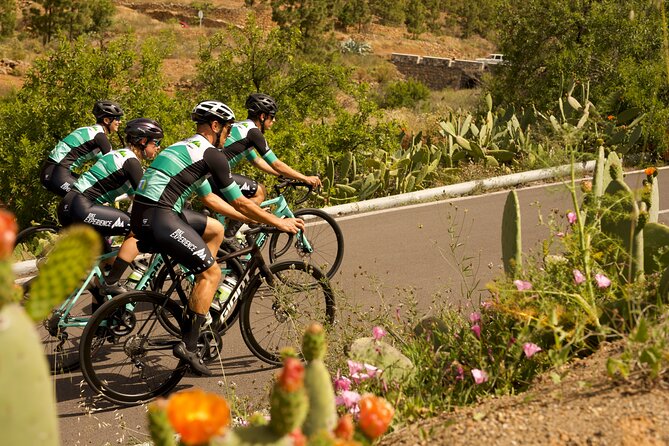 Road Cycling Tenerife - Vilaflor Route - Two climbs, including a 13-kilometre challenge