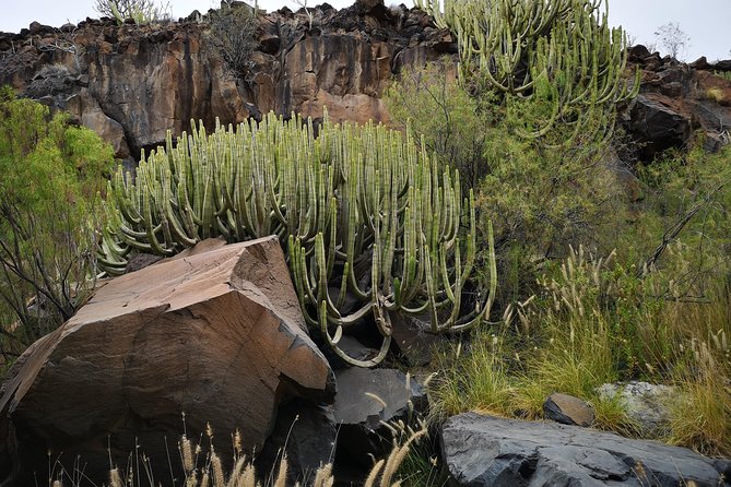 Rock climbing in natural space. - Why the three-hour timing works