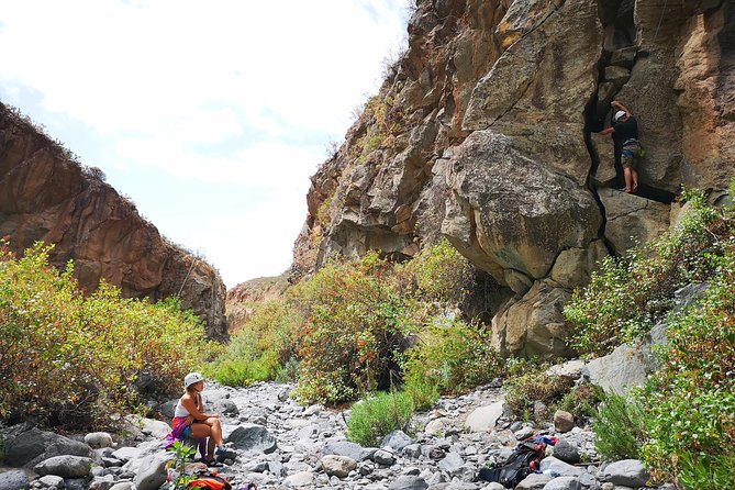 Rock climbing in natural space. - What the $156.03 price gets you