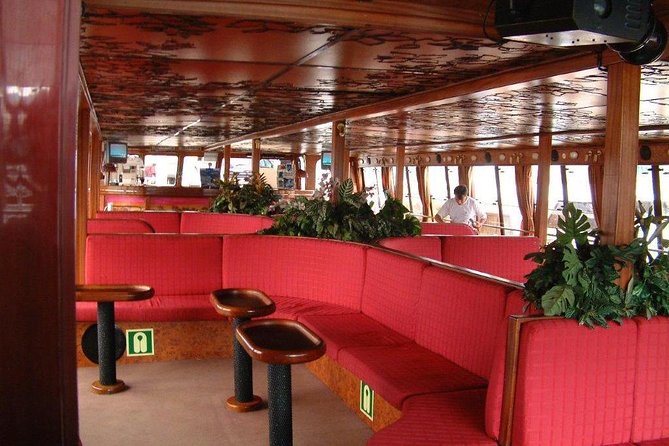 Royal Delfin - 2Hour Sustainable Dolphin & Whale Watching Mini Cruise - Tenerife’s coast is part of the trip