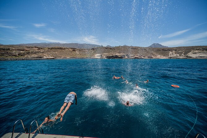 Royal Delfin 3H Dolphin & Whale Watching! Swimming & Lunch! - Lunch, drinks, and the honest food assessment