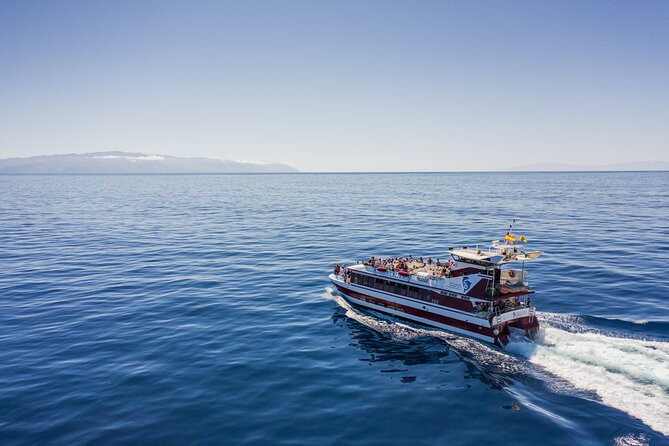 Royal Delfin - 4'5H Dolphin & Whale Watching - Los Gigantes Masca - Lunch & Swim - Leaving Puerto Colón at 2:00 pm