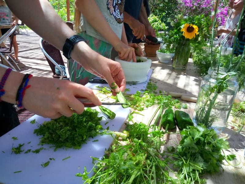 Rural Life Experience: Mojo Workshop and botanical Walk - Why this is more than a cooking class