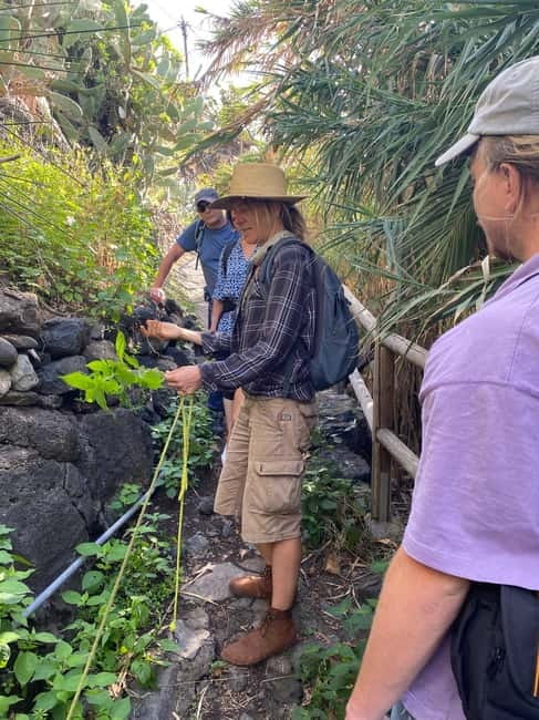 Rural Life Experience: Mojo Workshop and botanical Walk - Who will enjoy this La Gomera experience?