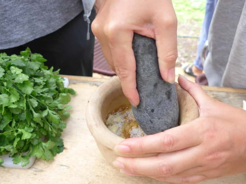 Rural Life Experience: Mojo Workshop and botanical Walk - Learning about plants with Zdenka