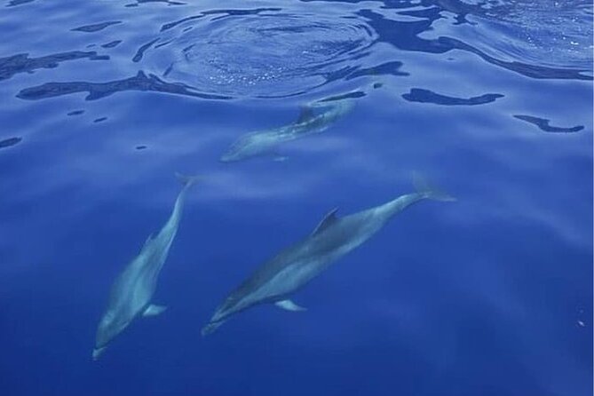 Sailing Yacht on a Private Charter - Who will enjoy this Tenerife yacht charter most