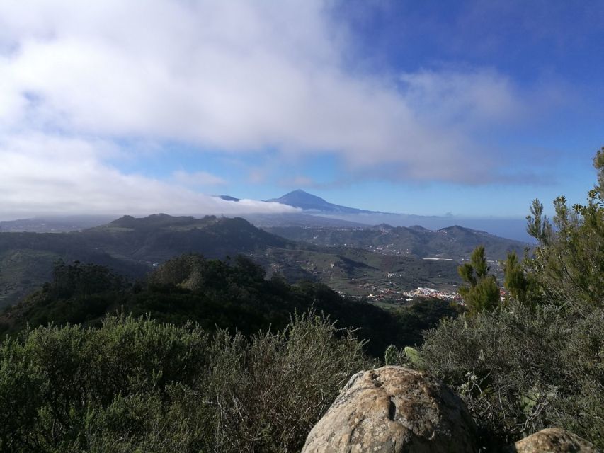 Santa Cruz de Tenerife: 2-Hour Hiking Tour in Anaga Forest - What the two and a half hours are like