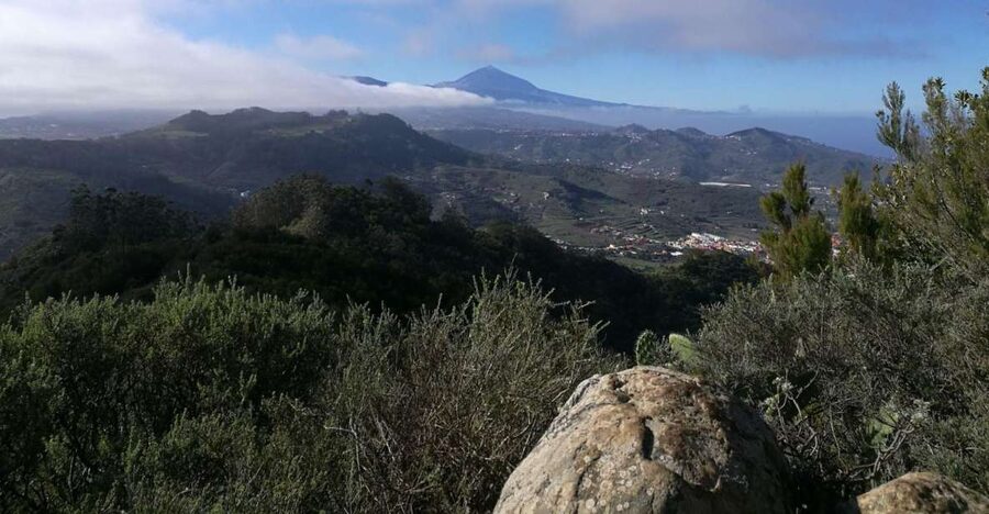 Santa Cruz de Tenerife: 2-Hour Hiking Tour in Anaga Forest - Views, villages, and Canarian character