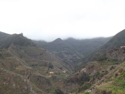 2-Hour Hiking Tour in Anaga Forest