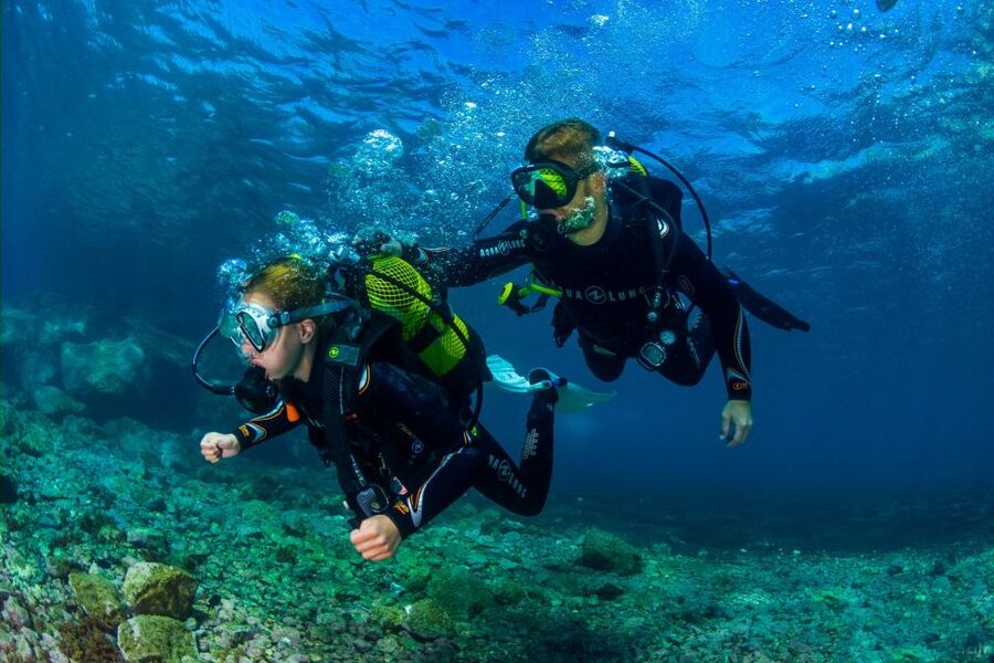 Santa Cruz de Tenerife: Beginner's Diving & Introduction - A first underwater session in Santa Cruz