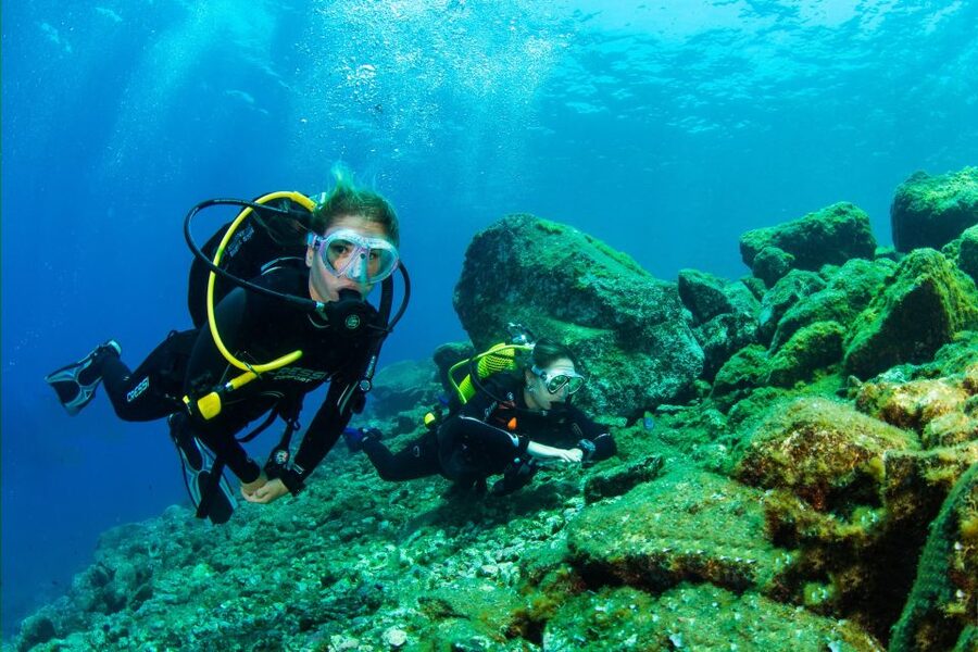 Santa Cruz de Tenerife: Beginner's Diving & Introduction - The first hour: equipment, instructions, and nerves