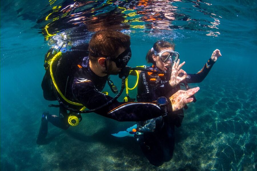 Santa Cruz de Tenerife: Beginner's Diving & Introduction - Thirty to 45 minutes among fish and starfish