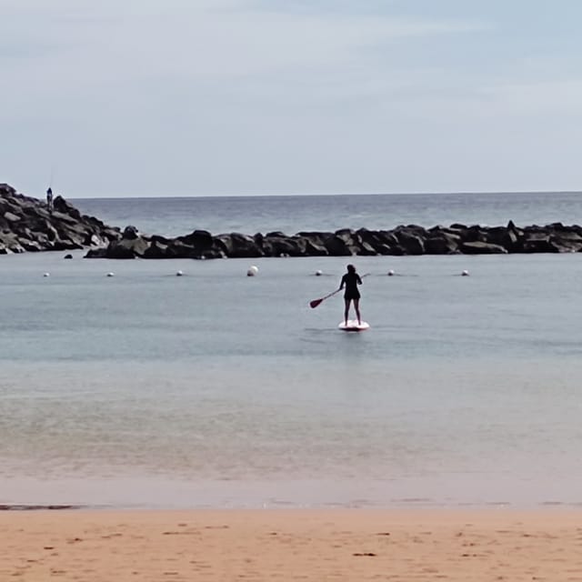 Santa Cruz de Tenerife: Las Teresitas Stand Up Paddle Course - Who Will Enjoy This Course Most